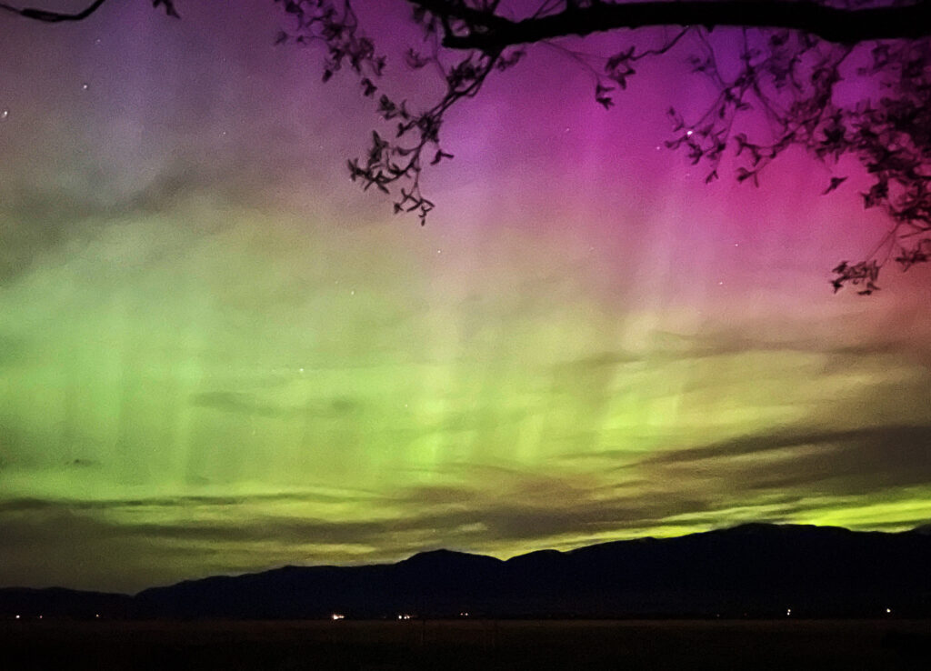 This photo shows an impressive night sky filled with greenish vertical lights as well as bright pinks. The photo is framed by a mountain range and a tree branch. 